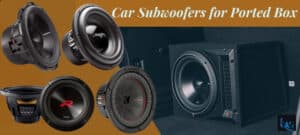 Best Car Subwoofer For Ported Box