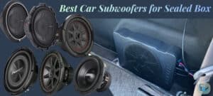 Best Car Subwoofer for Sealed Box